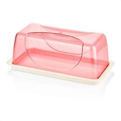 campana-torta-rectangular-cupula-38-cm-D_NQ_NP_896016-MLU32604314432_102019-F